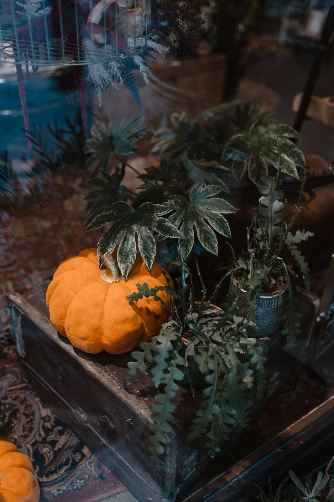 Décoration saisonnière avec citrouille pour Halloween