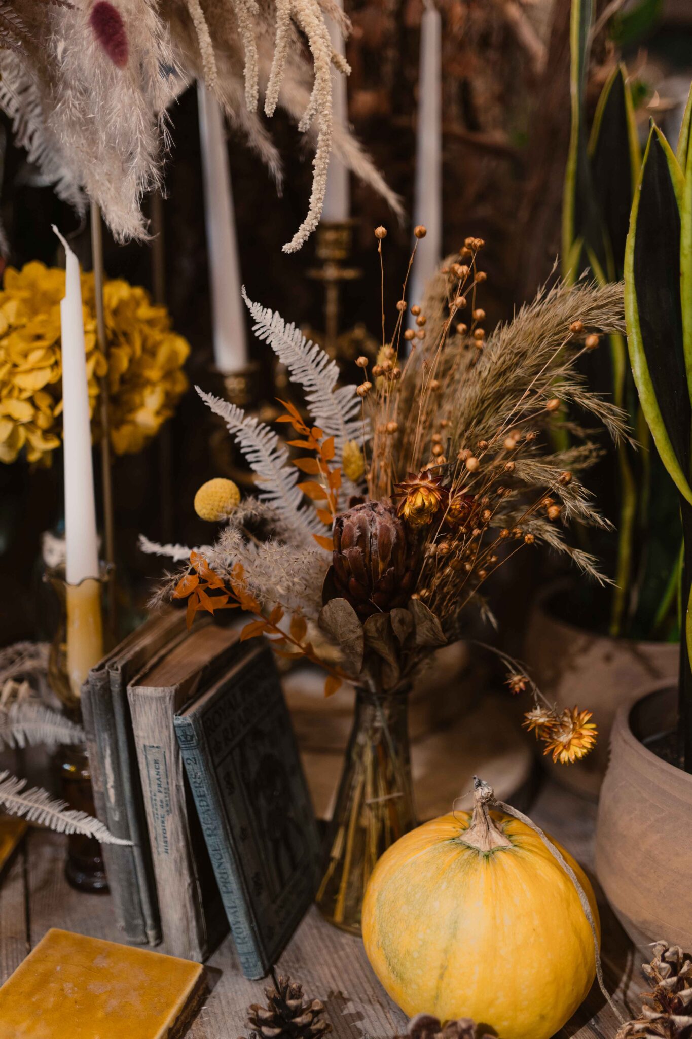 Décoration halloween pour une vitrine boutique Montpellier